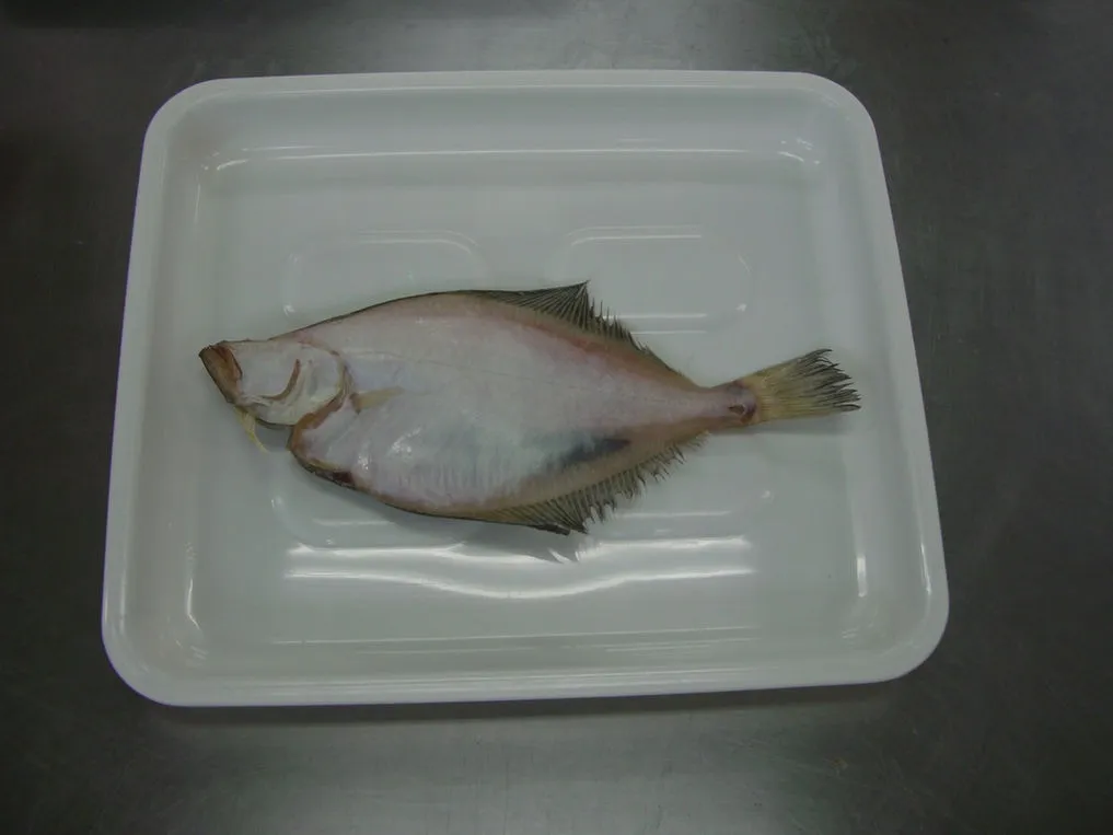 冷鮮工房うす田 冷凍状態の干し物