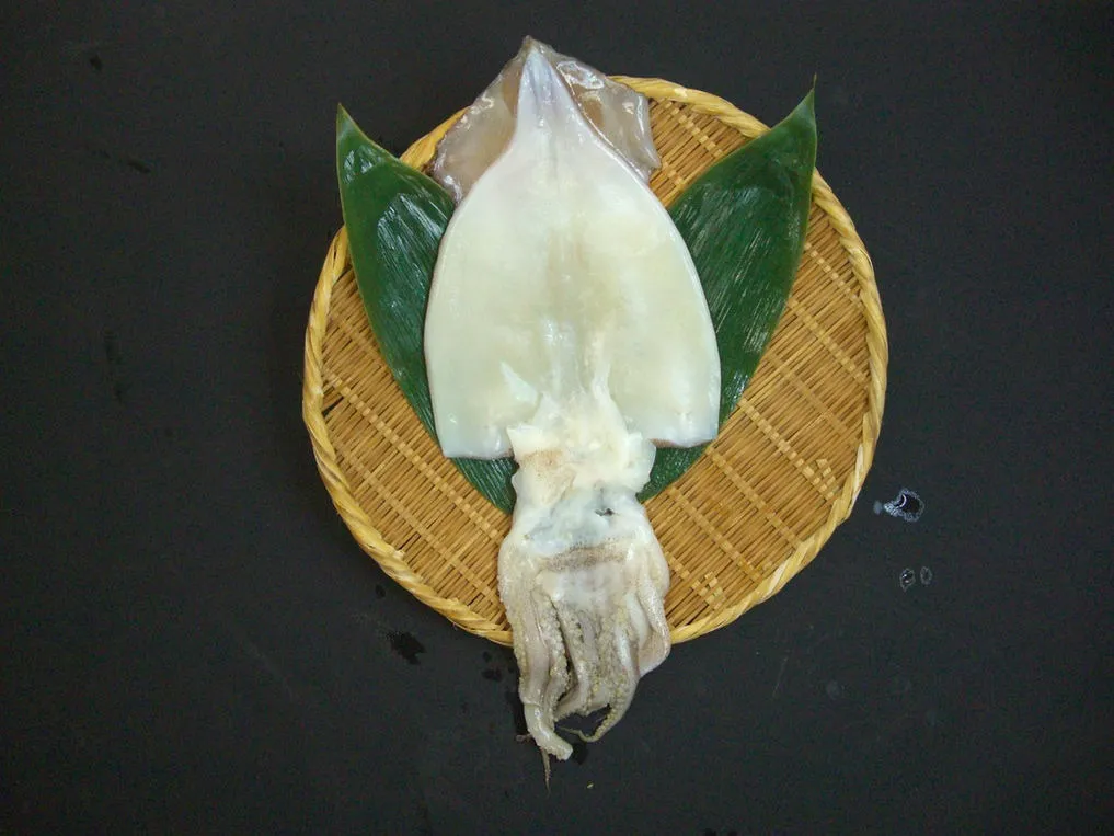 冷鮮工房うす田 イカの干し物